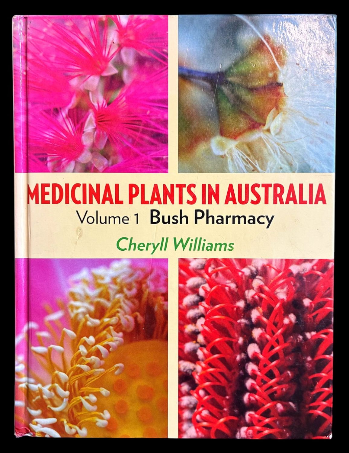 Medicinal Plants in Australia: Volume 1: Bush Pharmacy by Cheryll Williams