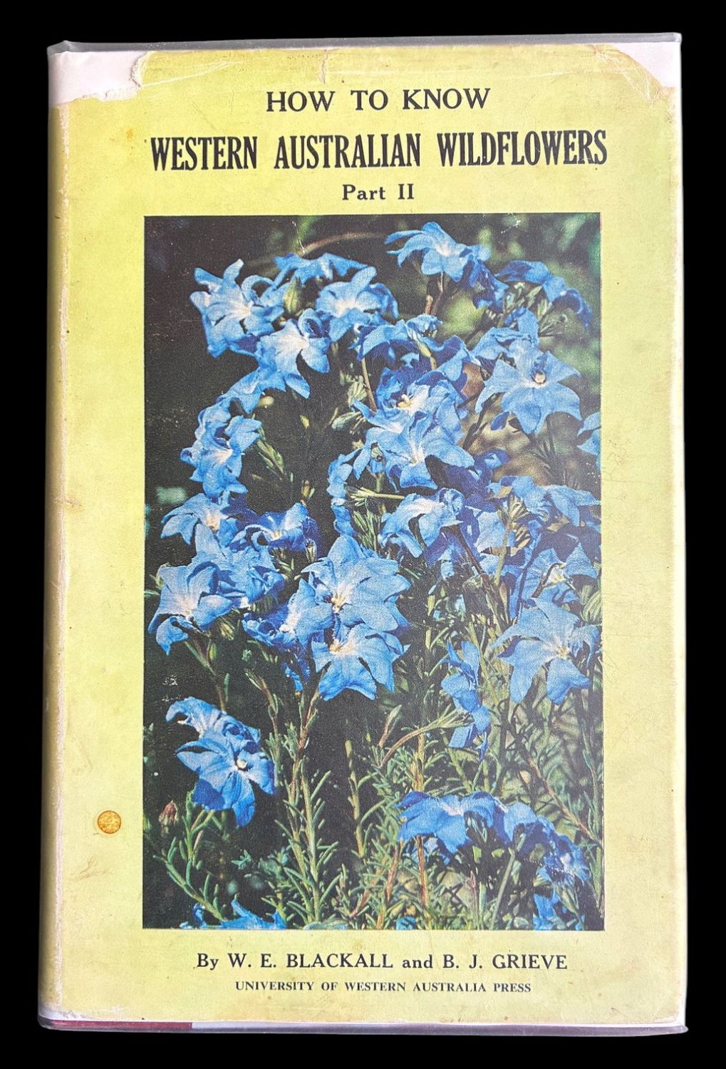How to Know Western Australian Wildflowers Part II by W E Blackall and B J Grieve