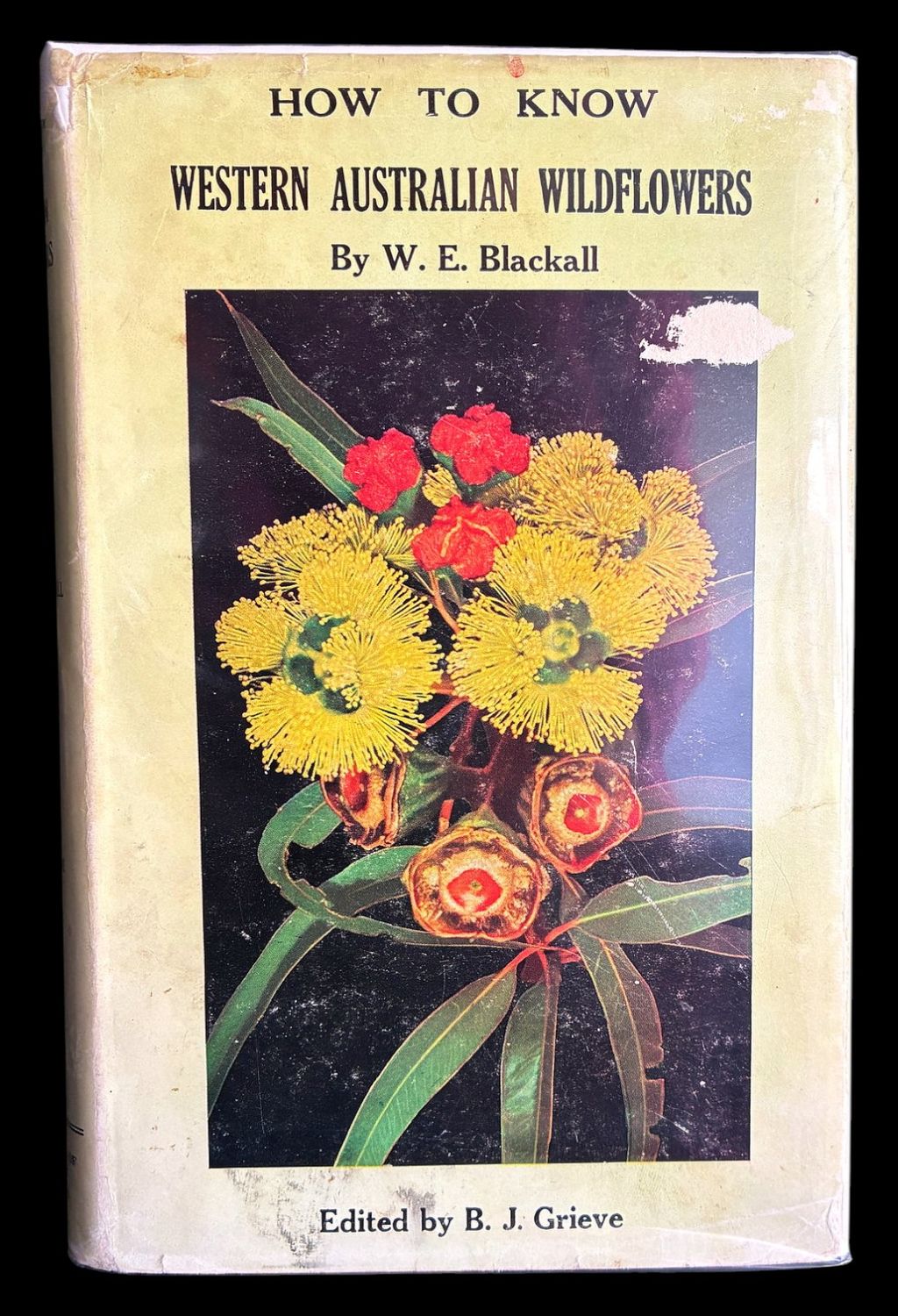 How to Know Western Australian Wildflowers: A Key to the Flora of the Temperate Regions of Western Australia: Part I by W E Blackall and edited by B J Grieve