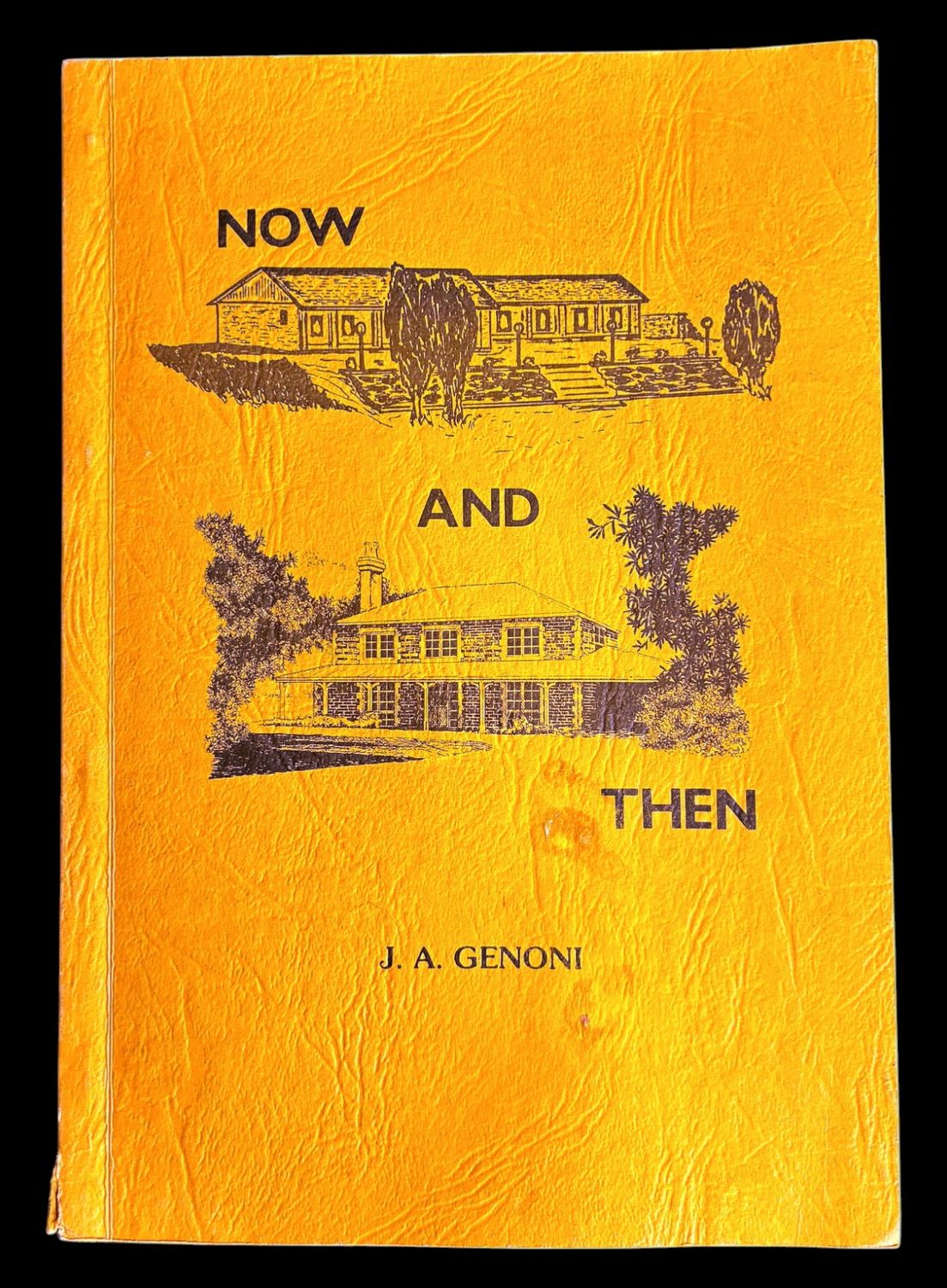 Now and Then: Yarns Reflecting the Lives and Happenings of Pioneering Families, Past and Present in the Great Southern Districts of Western Australia by J A Genoni