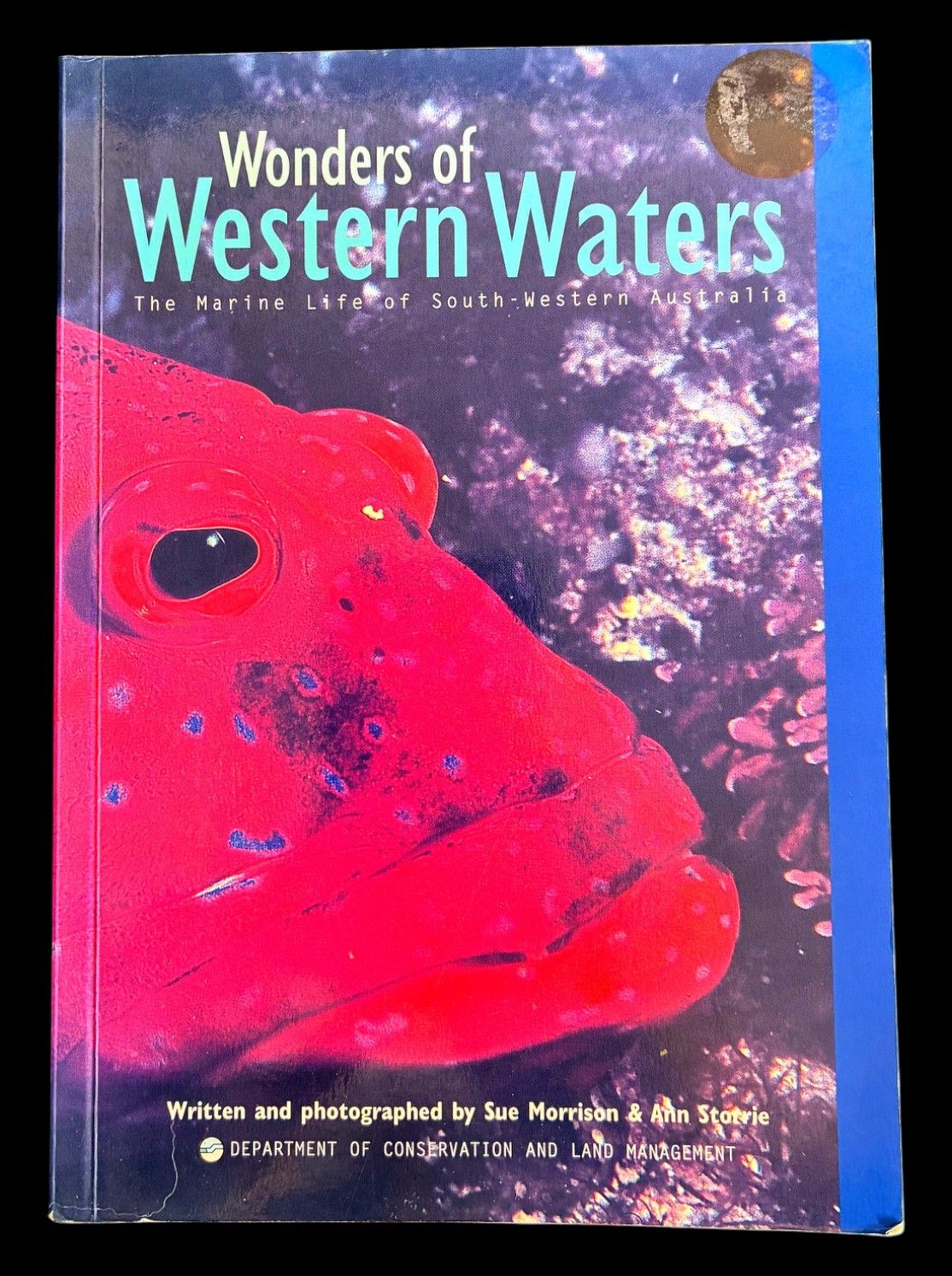 Wonders of Western Waters: The Marine Life of South-Western Australia by Sue Morrison and Ann Storrie