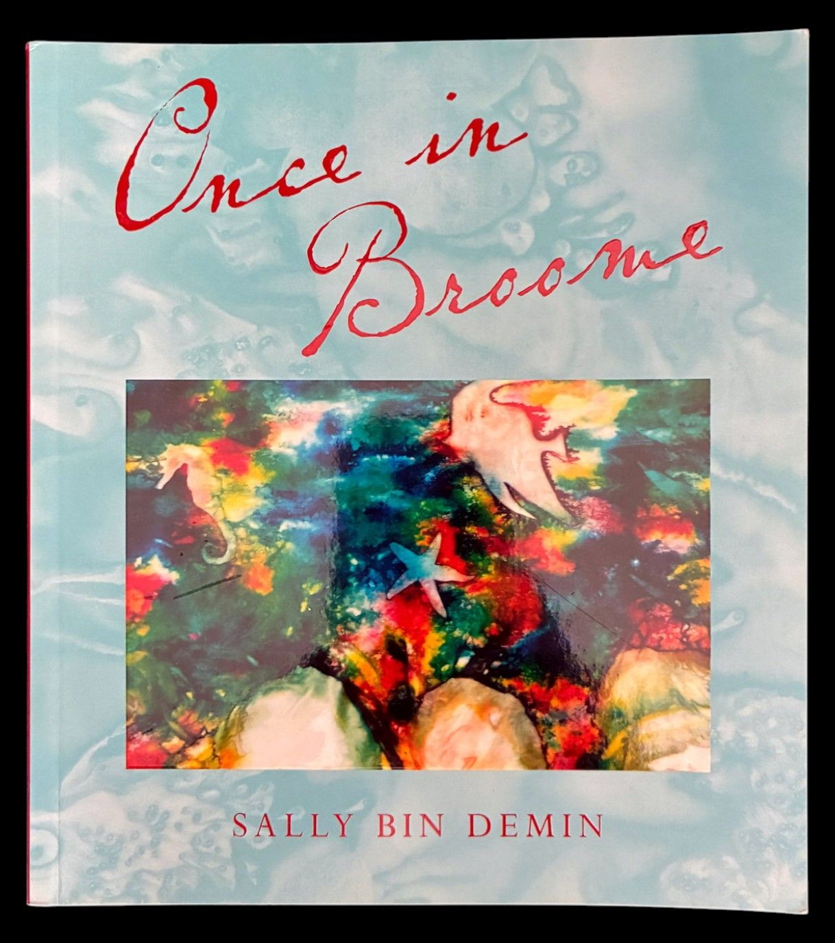 Once in Broome by Sally Bin Demin