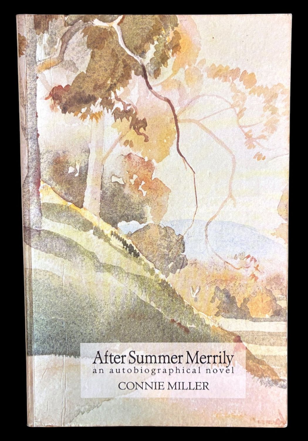 After Summer Merrily: An Autobiographical Novel by Connie Miller
