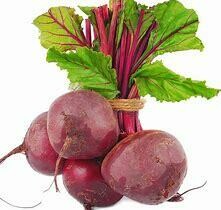 Beetroot Seedlings