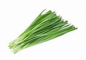 Chives Seedlings