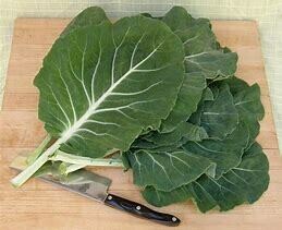 Kale (choumoellier)