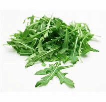 Wild Rocket