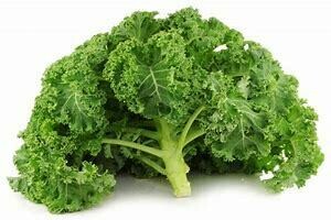 Kale - Curly (chino)