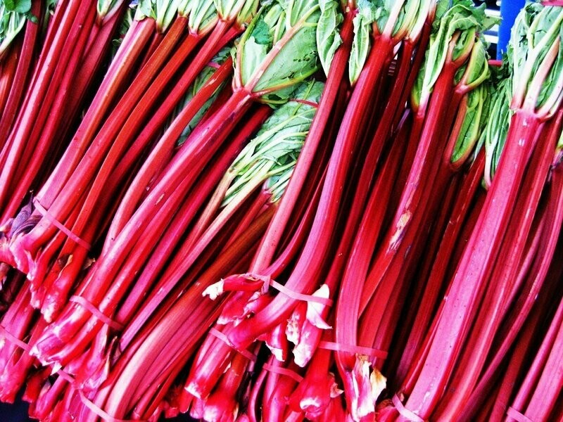 Rhubarb