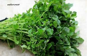 Watercress