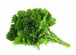 Moss curled Parsley