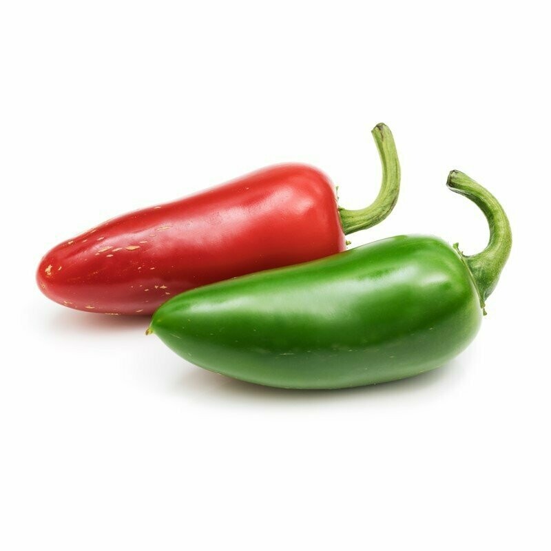Lance Chilli variety