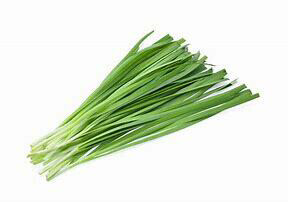 Garlic Chives Seedlings