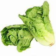 Lettuce- Green Cos