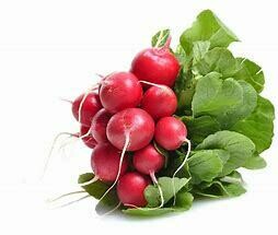 Radish