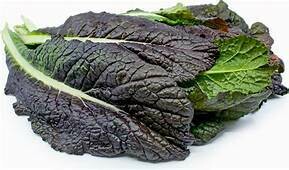 Red Mustard Spinach
