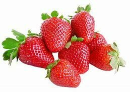 Strawberry seedling 