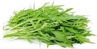 Green Mizuna Green Mizuna