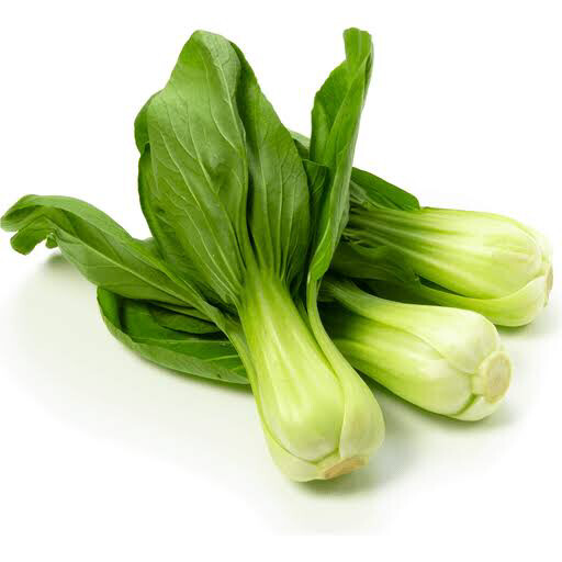 Pak Choi 