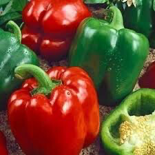 Pepper Rubistar - Green to Red