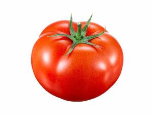 Tomato - Renka Tomato - Renka