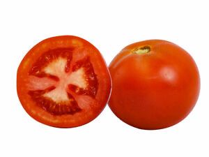 Tomato - Star 9037