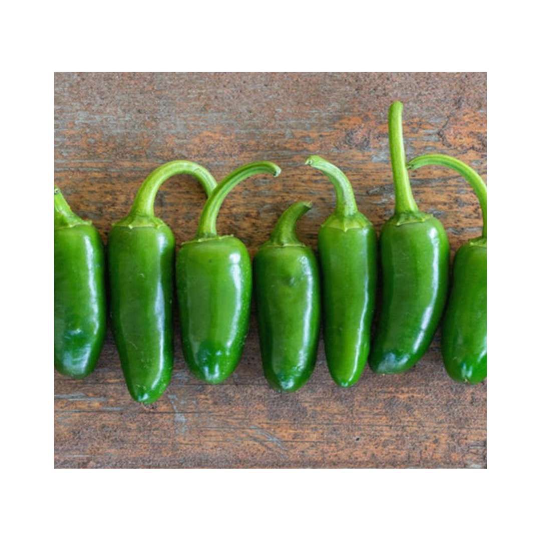 Jalapeno M - chilli variety