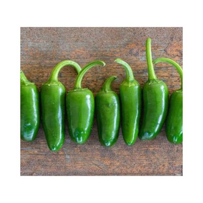 Jalapeno M - chilli variety