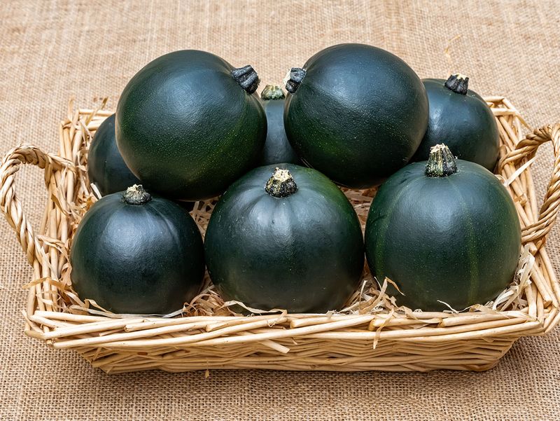 Squash - Gemini