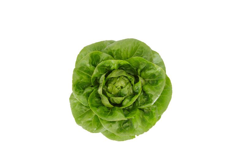 Lettuce - Baeza (gem)