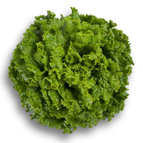 Lettuce - Starfighter