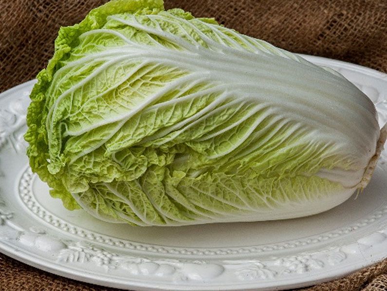 Chinese Cabbage - Tabaluga (Ellepot)