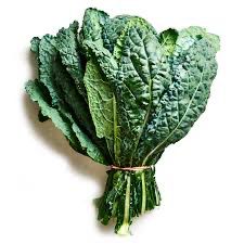 Kale - Dinosaur