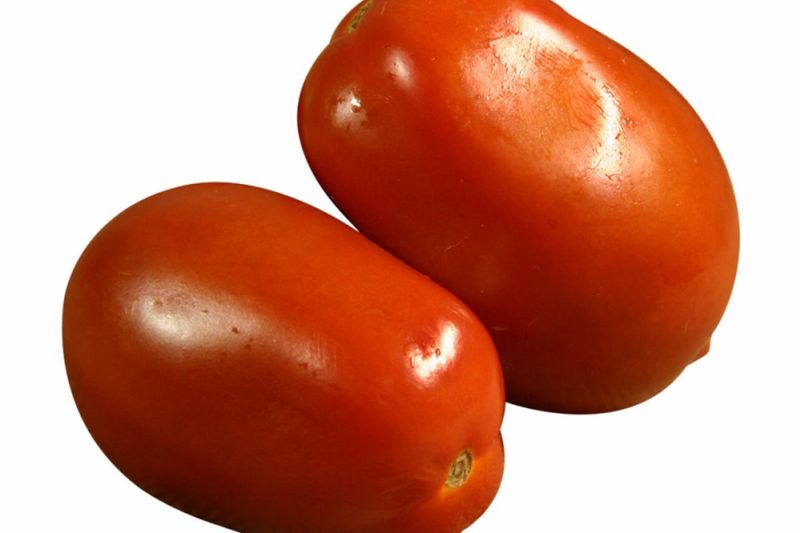 Tomato- Star 9063
