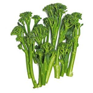 Broccoli - BR909 (tender-stem)