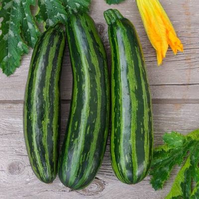 Baby Marrow - Green Tiger