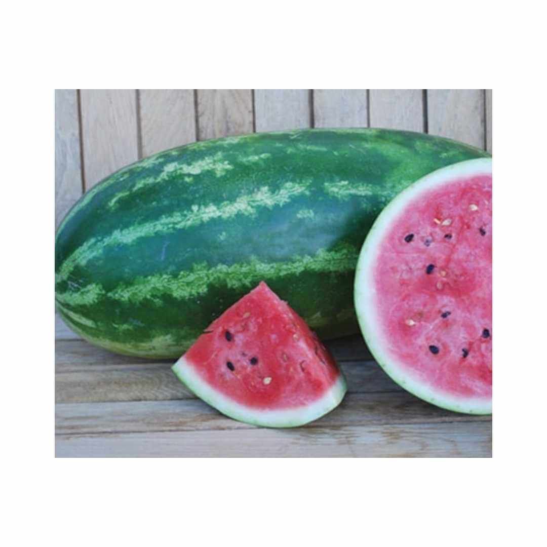 Watermelon- All Sweet
