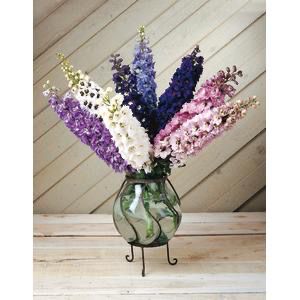 Delphinium - Magic Fountain Mix