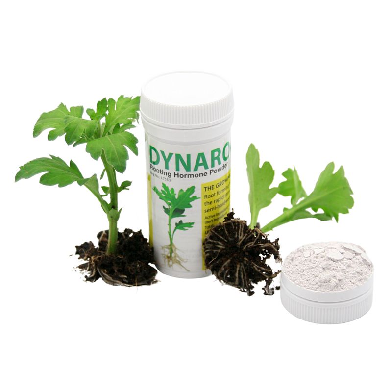 DYNAROOT No 2 - Rooting Hormone Powder - 30g