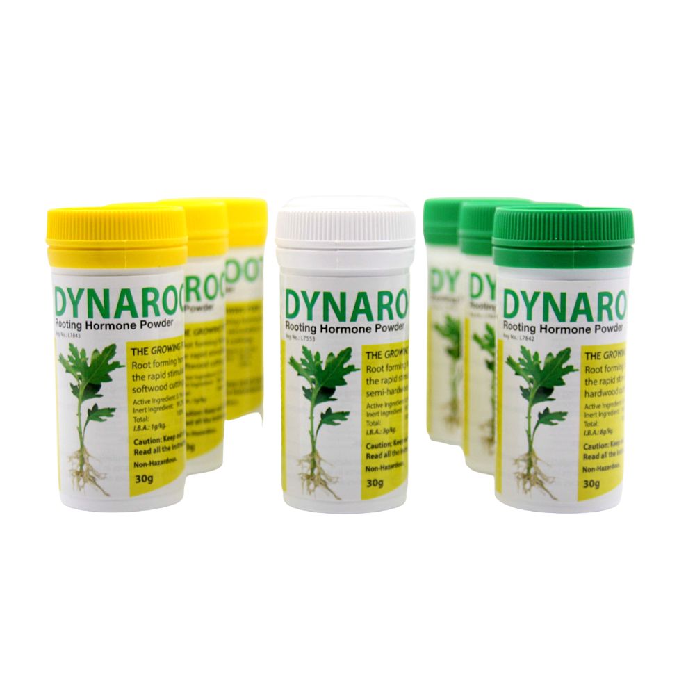 DYNAROOT No 1 - Rooting Hormone Powder - 30g