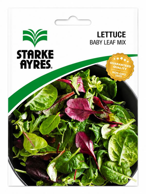 Lettuce - Baby Leaf - Seed Packet 1g