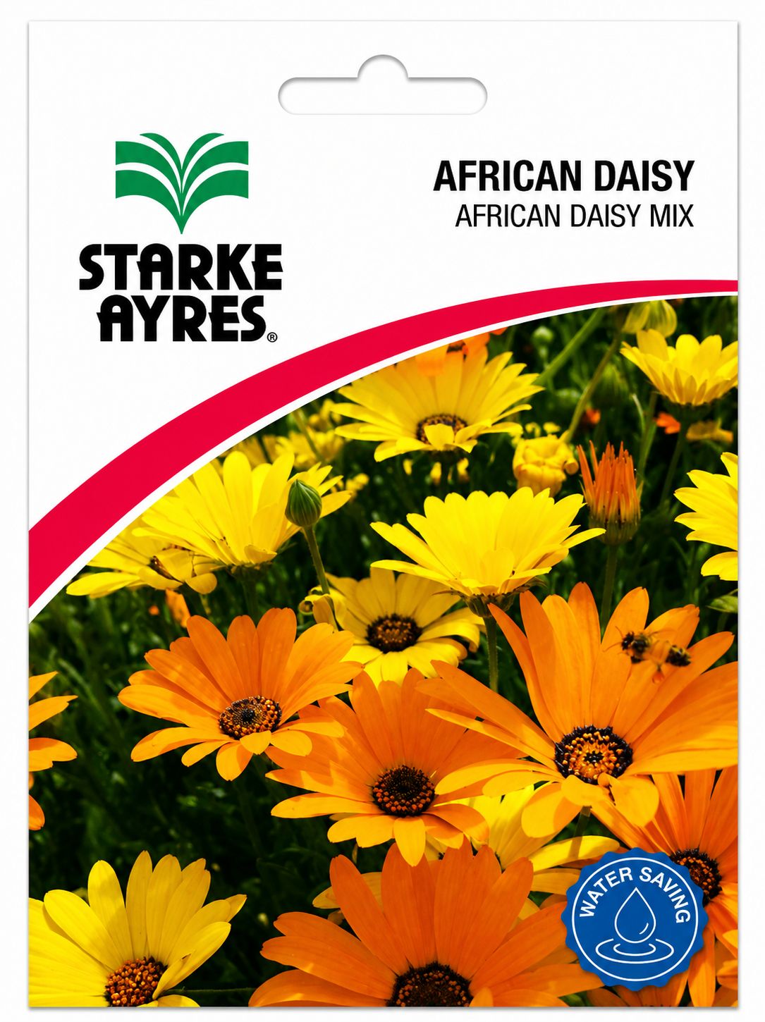 African Daisy - Seed Packet 1.3g