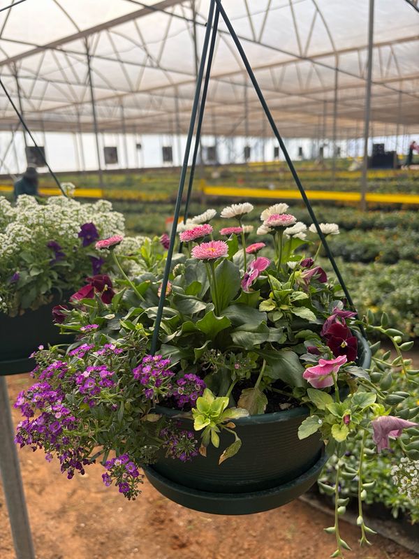 Hanging Flower Basket Hanging Flower Basket