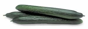Cucumber - Randall