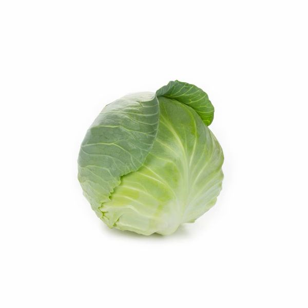 Cabbage - Swingma RZ F1