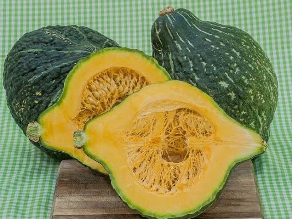 Hubbard Squash - Barnacle Bill