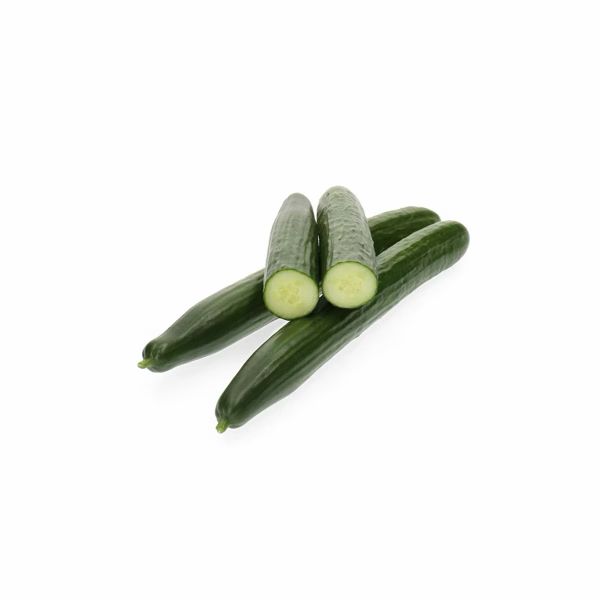 Cucumber - Verdon