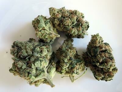 GRAND DADDY PURP