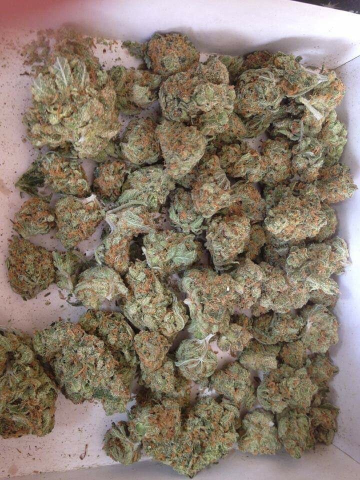 TRAINWRECK