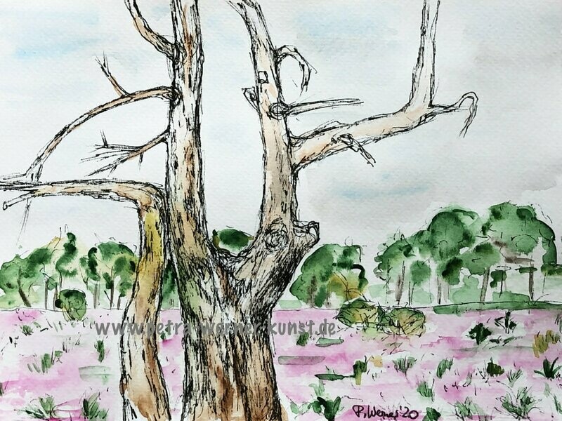 „Heideimpression“, Tuschezeichnung aquarelliert, 24cm x 19cm, 2020